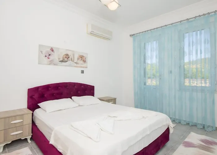 Fethiye-kaya Koey'de 6 Kisilik Devina * Keçiler